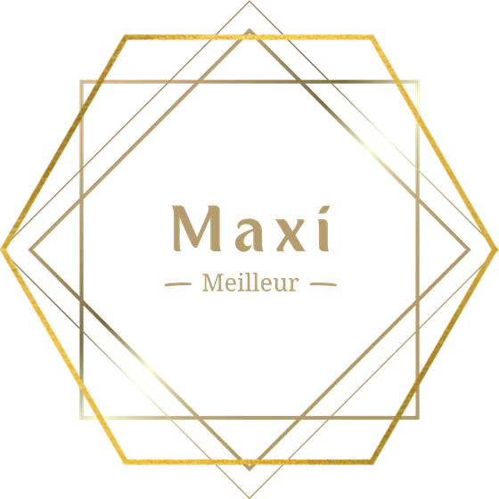 Logo Maxi Meilleur